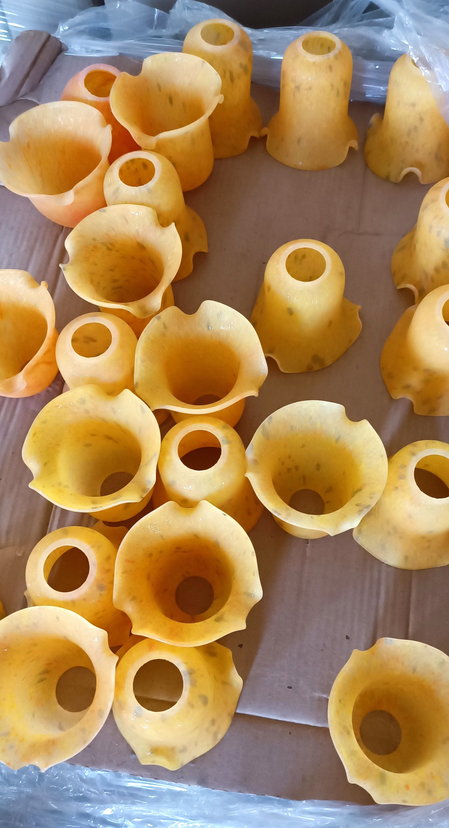 Tulipán naranja con semilla verde y ala corta