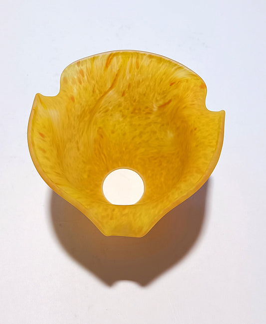 Tulipán mediano de color naranja con semillas verdes y tallo corto.