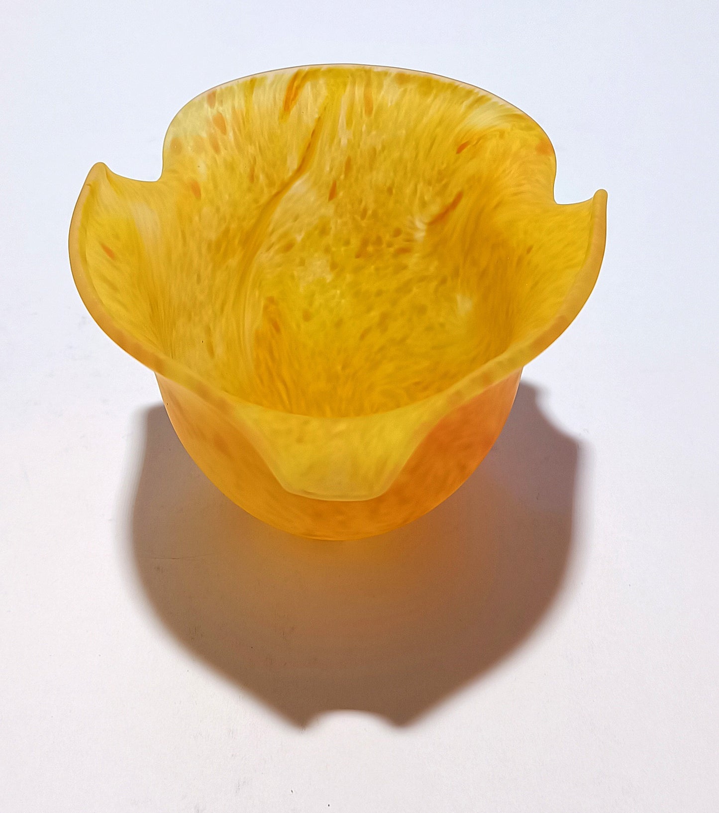 Tulipán mediano de color naranja con semillas verdes y tallo corto.